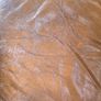 Leather Couch Image 2