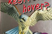 Three Children's Books Why do crabs walk sideways/ Why do Kestrels Hover / Natural History Museum