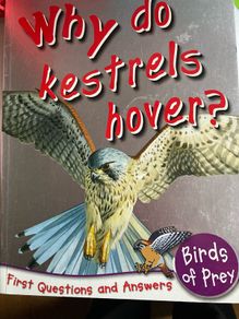 Three Children's Books Why do crabs walk sideways/ Why do Kestrels Hover / Natural History Museum
