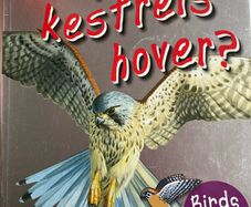 Three Children's Books Why do crabs walk sideways/ Why do Kestrels Hover / Natural History Museum