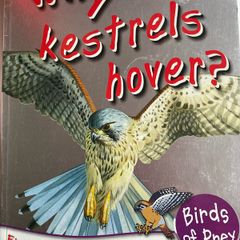 Three Children's Books Why do crabs walk sideways/ Why do Kestrels Hover / Natural History Museum