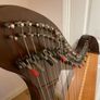 Salvi Donegal Walnut Harp Image 6