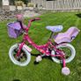 kids bike Raleigh Image 4