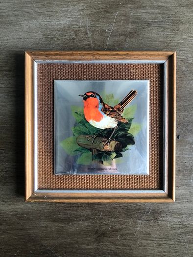 Set of 5 Vintage Wooden Framed Bird Pictures