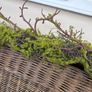 New 120cm length rustic twig and moss garland Image 2