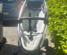Buggy