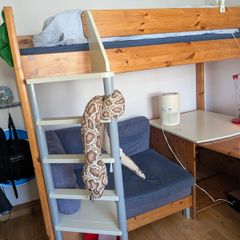 Stompa Solid Wood Mid Sleeper Bed with Mattress