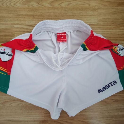 Carlow GAA shorts