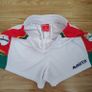 Carlow GAA shorts Image 2