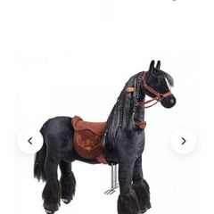 Ride on mechanical pony