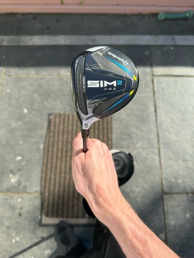 Left hand Sim 2 max 5  wood