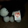 Small cat teddy Image 3