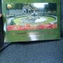 2005 Ireland Euro Coin Set Image 2