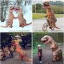 Inflatable Costume Trex Dinosaur Costumes Halloween Costume Fancy Dress for Adult (FREE EXPRESS SHIPPING) Image 6