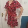 Red Valetines Mini Dress Image 2