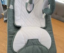 Nested Gravity Bouncer (Excellent Condition in box)