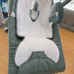 Nested Gravity Bouncer (Excellent Condition in box)