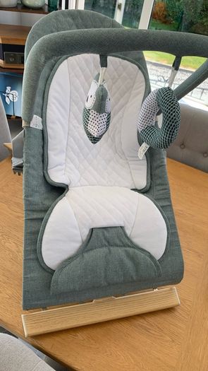 Nested Gravity Bouncer (Excellent Condition in box)