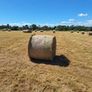 hay Image 2