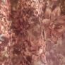 Lace top Image 3
