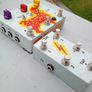 Jam Pedals Delay Llama Xtreme and CRTL box Image 4