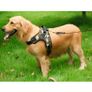 Adjustable K9 Style Dog Harness Padded Large Medium Small Dog Pet Harness Image 10