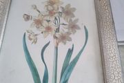 Still life flower framed print.