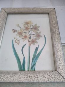 Still life flower framed print.