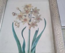 Still life flower framed print.