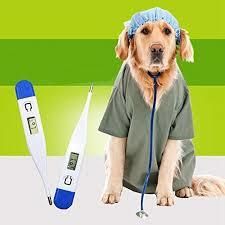 Pet Digital LCD Thermometer