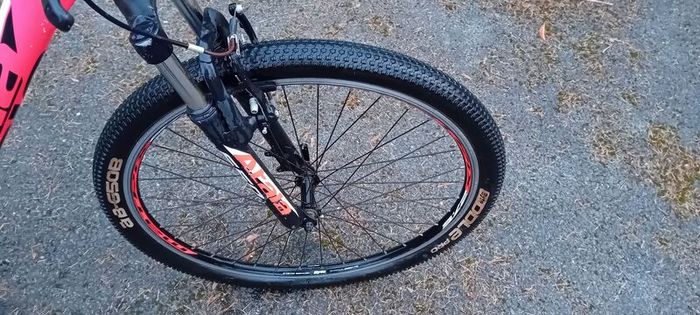Bargin Mountain Bike