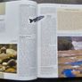 The Practical Guide to Fishing Image 4