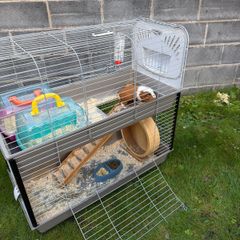 Cage