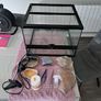 Exo Terra Reptile Tank Plus.... Image 2