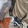 Used parts2010 hyundai tuscan 2l diesel Image 7