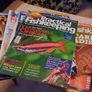 practical fishkeeping x18 Image 2