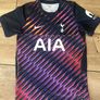 tottenham hotspur Image 2