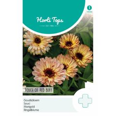 HT Calendula 'Touch of Red Buff' Seeds 0.75g | Sow March - July