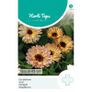 Seeds to Sow in July - August Image 6