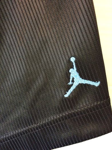 Michael Jordan. Nike Air Jordan Mens Basketball Shorts. Collect In Dublin Or Receive Via Post.