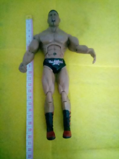 WWE Batista the Animal Action Figure