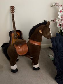 Ponycycle