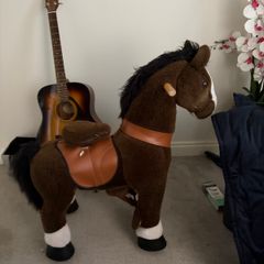 Ponycycle