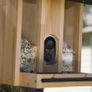 Bird feeder Image 5
