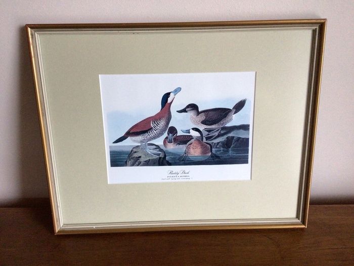 4 large wildfowl prints Framed
