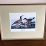 4 large wildfowl prints Framed Image 4