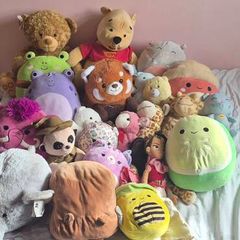 Squishmallows and Teddy Bears