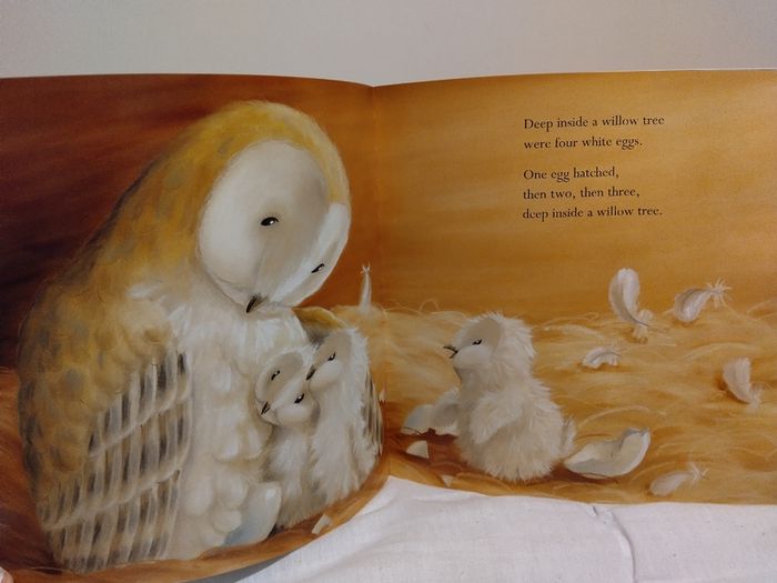 The Littlest Owl by Caroline Pitcher