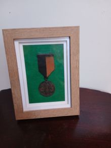 Irish War Of Independance Medal