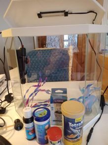 Complete Ciano Hexagonal Fish Tank 19L Setup  Aquarium with Hood, Light, Heater & Accessories